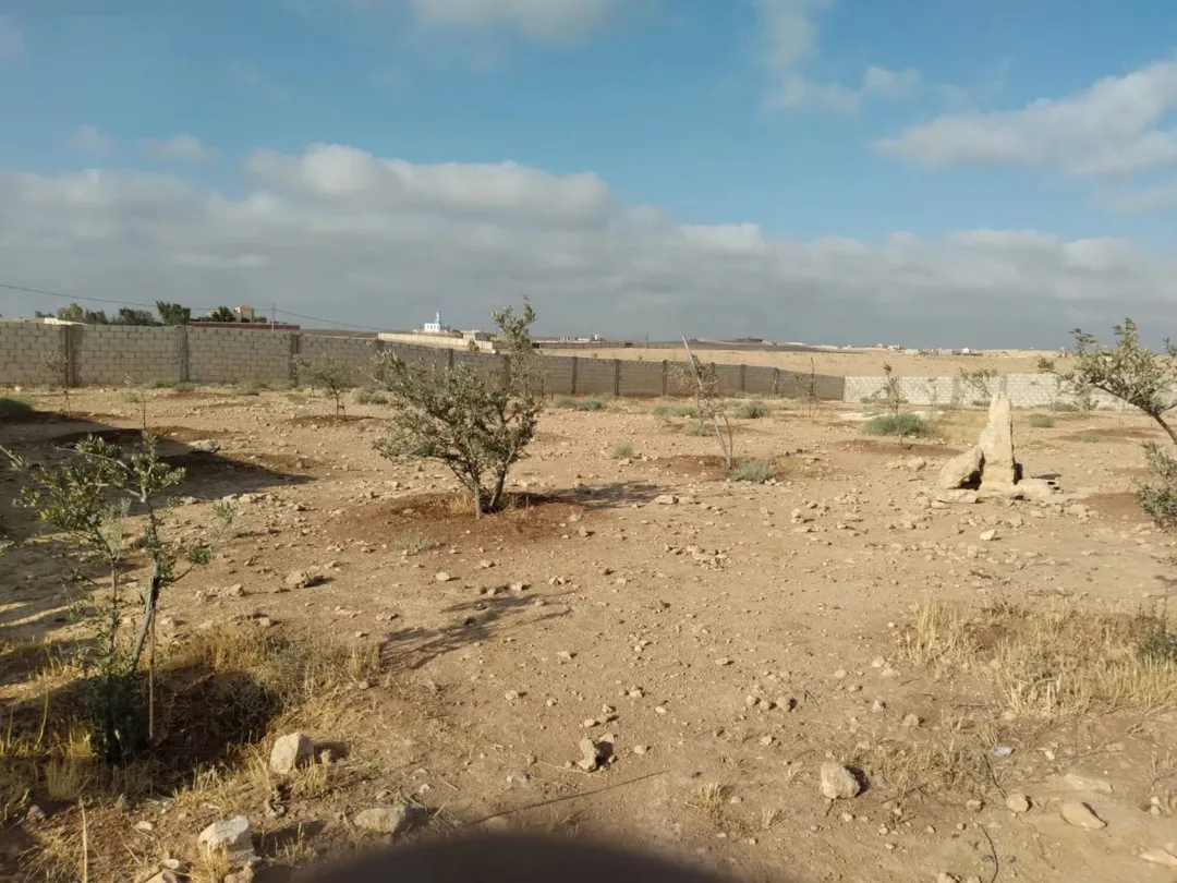 أرض للبيع مباشره على شارع عريض سور مصونه أربع واجهات