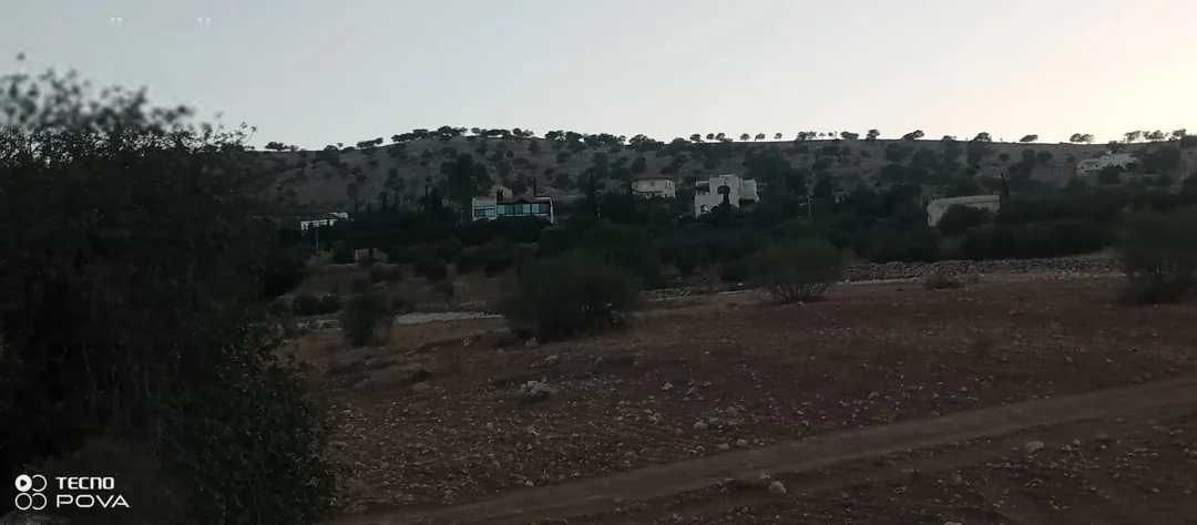 مزرعه للبيع في صروت من القطع المميزة جدا على 3 شوارع