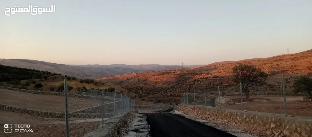 مزرعه للبيع في صروت من القطع المميزة جدا على 3 شوارع