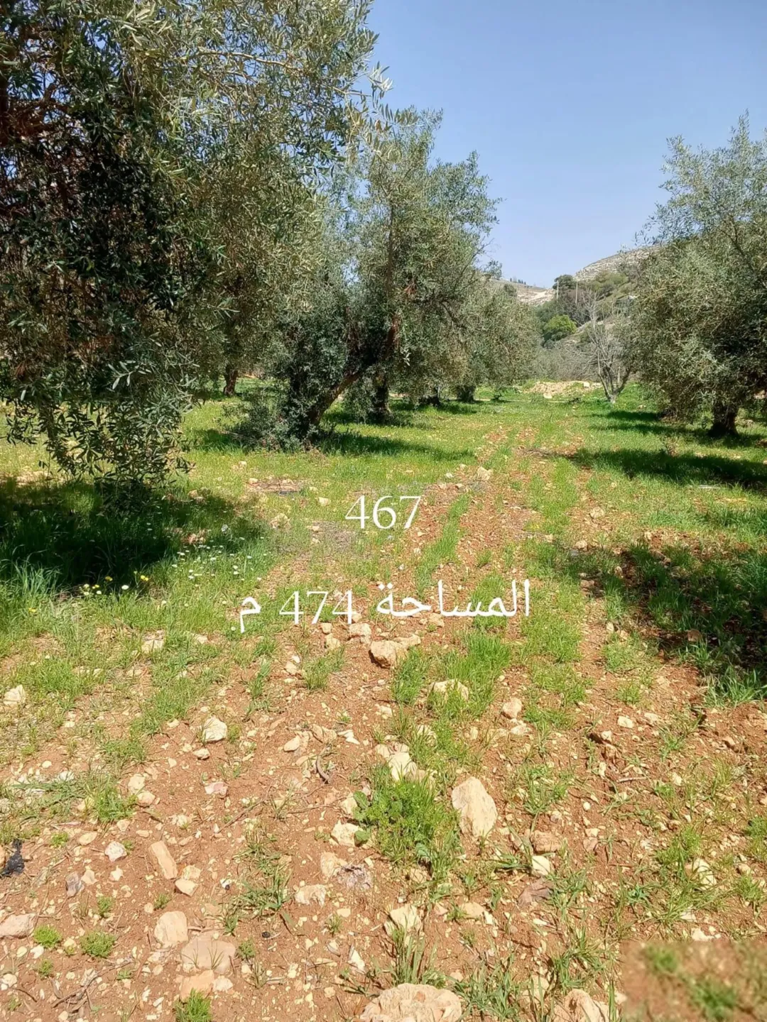 ارض في البحاث منبسطة قريبة من الخدمات