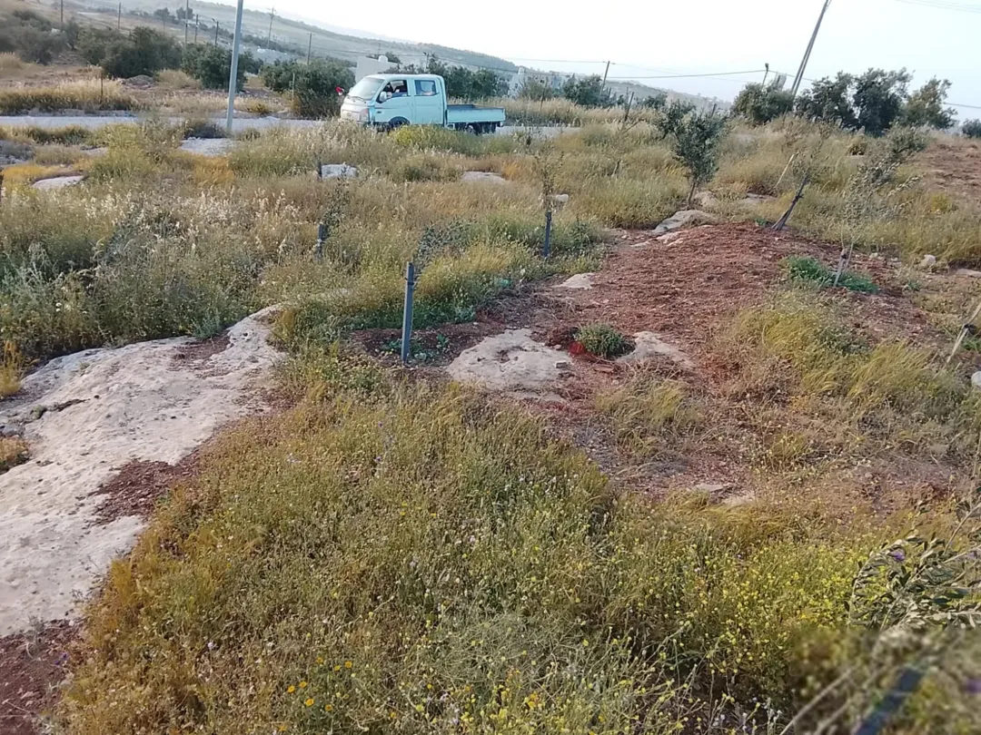 قطعة أرض سكنية مميزة للبيع في بيت راس