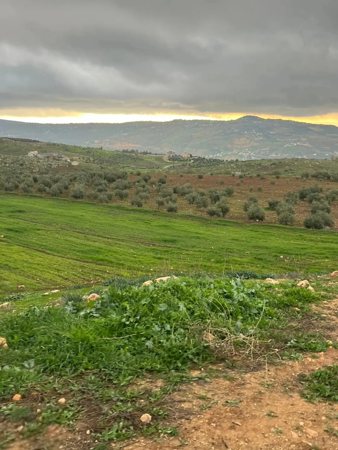 قطعة أرض مميزة في الكفير العنيبة بالقرب من الإسكان المنبسط