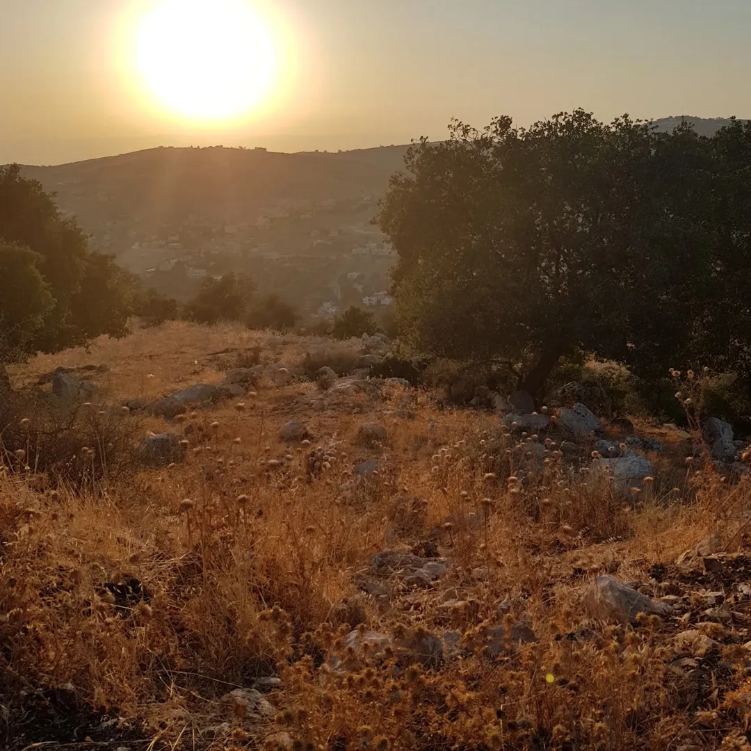 أرض في البيادر لبناء فيلا او مجمع فلل او مزرعة او مجمع سكن عائلي في غرب عمان