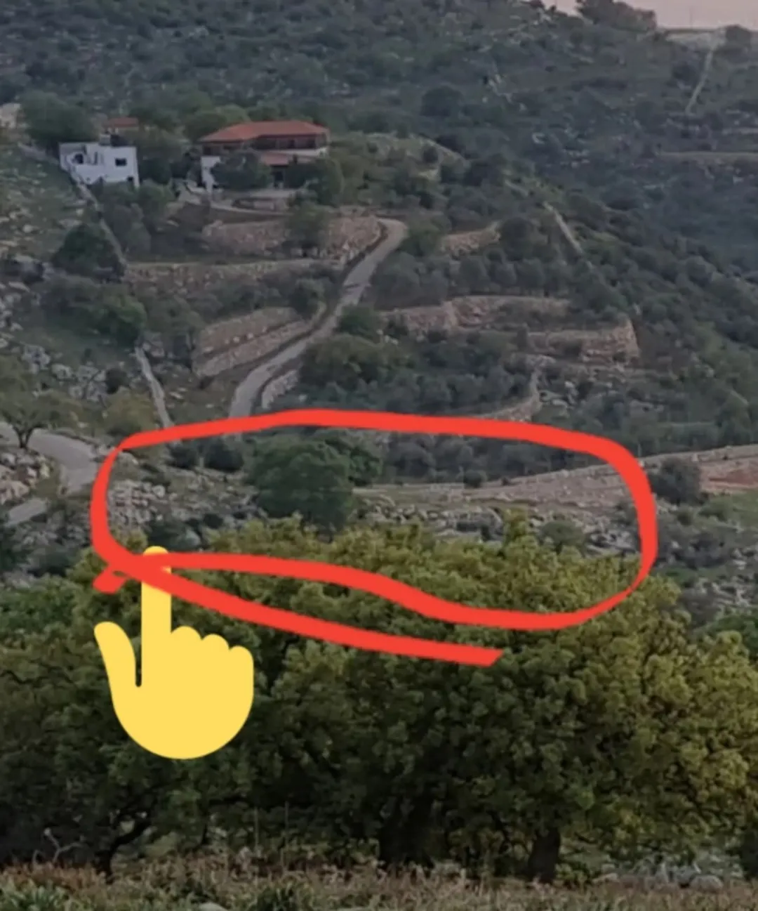 أرض في البيادر لبناء فيلا او مجمع فلل او مزرعة او مجمع سكن عائلي في غرب عمان