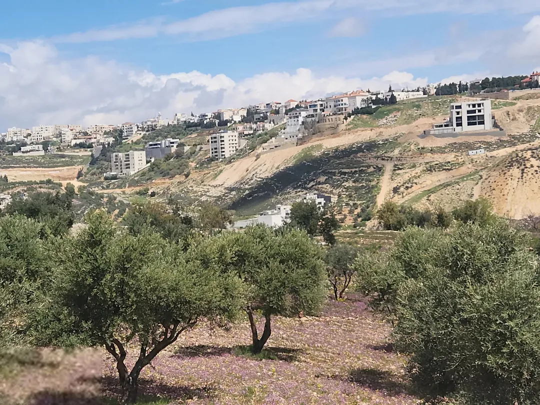 أجمل مناطق عمان الغربية بدر الجديده الرباحية الشمالية سكن ج أخضر