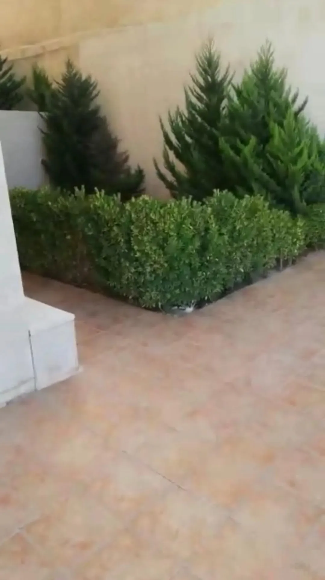 شقة أرضية فاخرة مفروشة مع تراس وحديقة في دير غبار | ID 738398