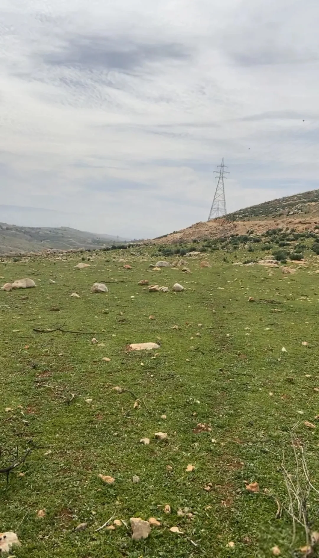 أرض للبيع في أم الفول بين بدر الجديدة وماحص بمساحة 10,444 متر مربع