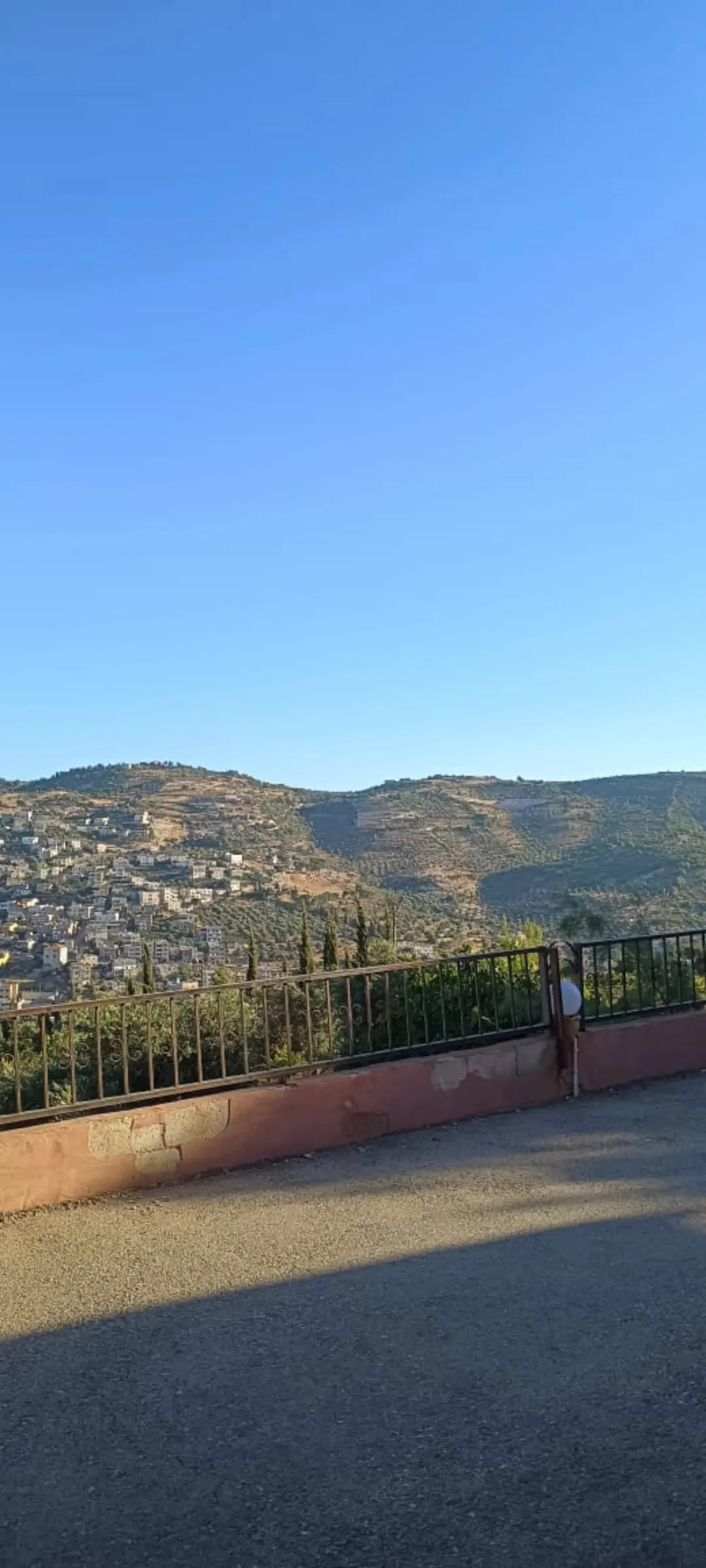 مزرعة مع شاليه وإطلالة جنوبية مميزة للبيع في جرش