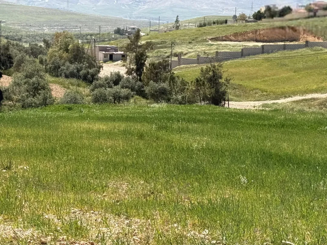 أراضي غريسا ولحصب موق مميز وهادئة منطقة شاليهات أسعار مميزه