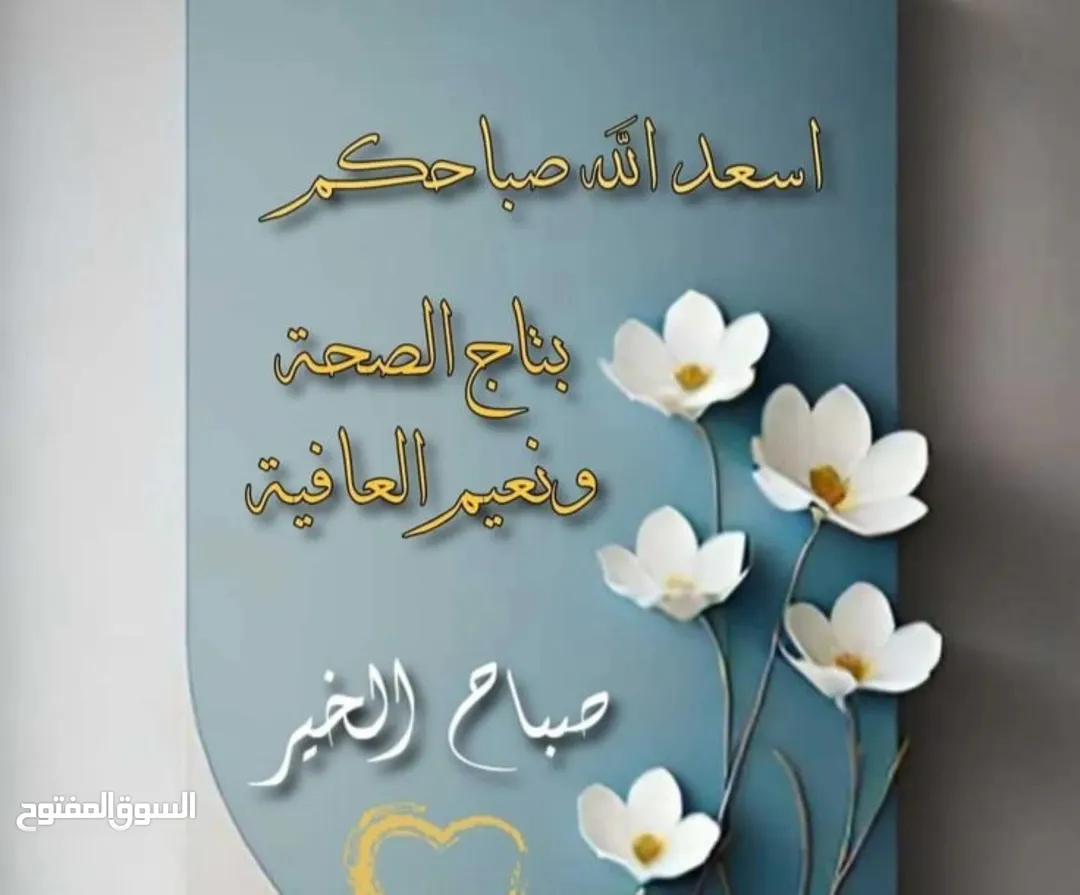 فيلا فاخرة للبيع في طريق المطار
