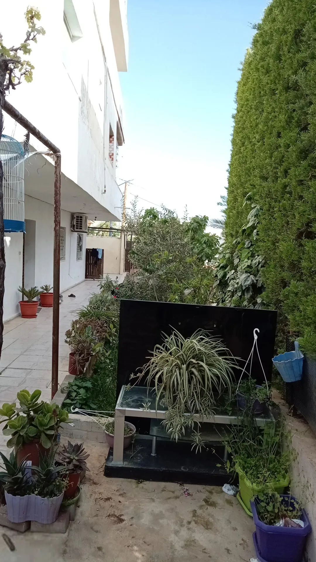منزل للبيع في بدر الجديدة – الرباحية الجنوبية