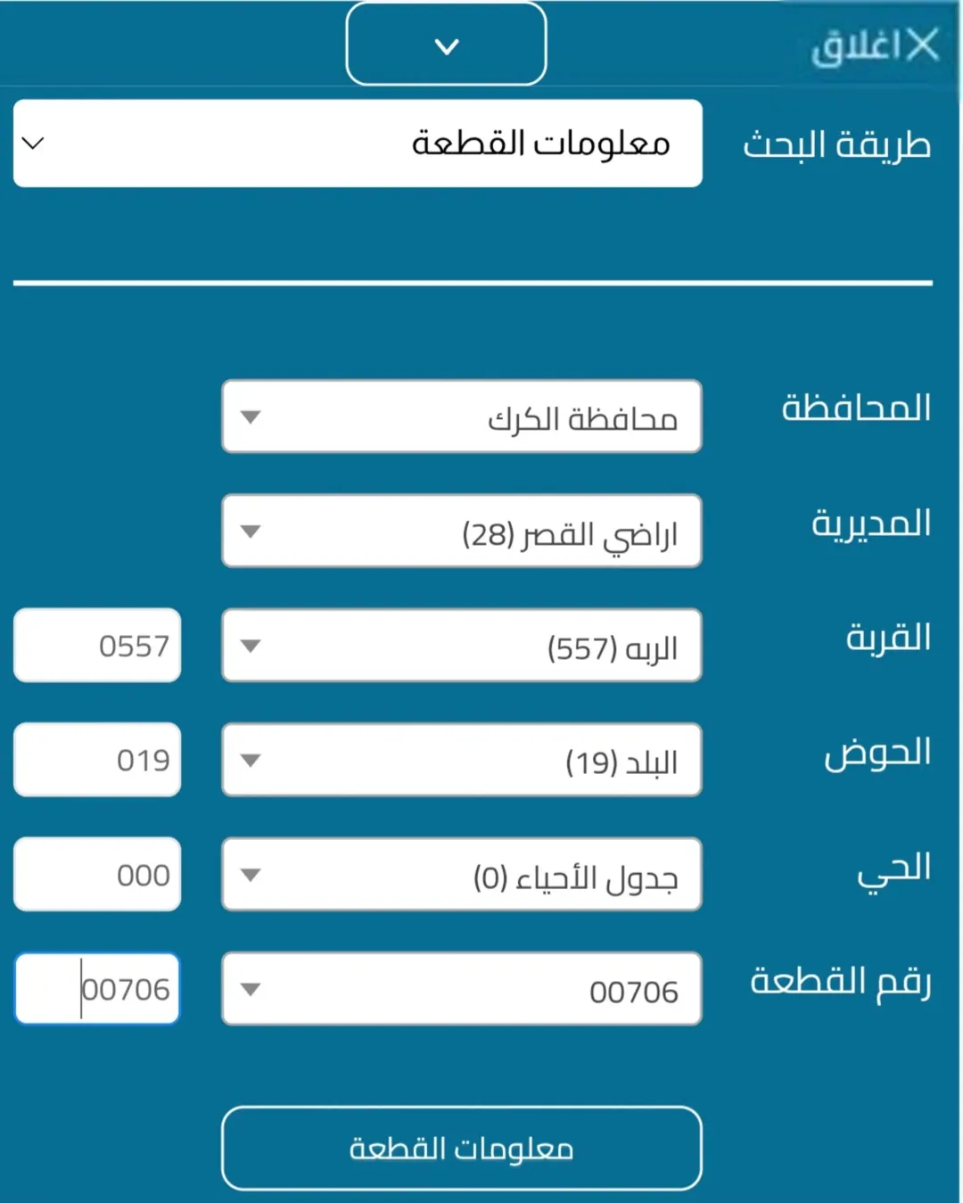 دونم ارض للبيع في الربة