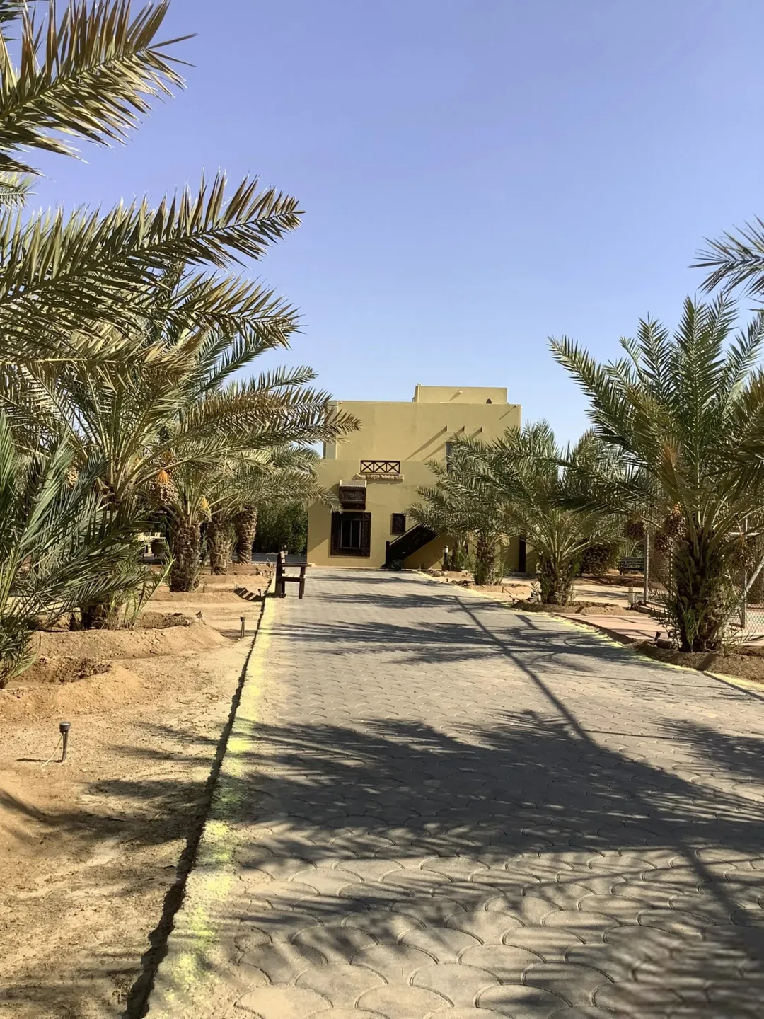 مزرعة في البحر الميت/ الشونه الجنوبية / السويمه / حوض جلد مميزة للبيع للجادين فقط — صورة 3