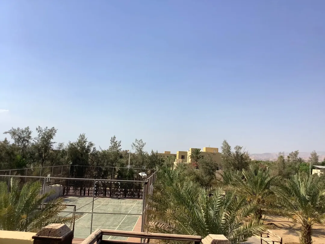 مزرعة في البحر الميت/ الشونه الجنوبية / السويمه / حوض جلد مميزة للبيع للجادين فقط — صورة 5