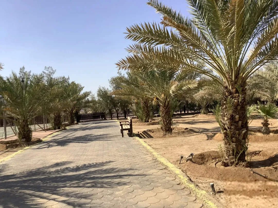 مزرعة في البحر الميت/ الشونه الجنوبية / السويمه / حوض جلد مميزة للبيع للجادين فقط