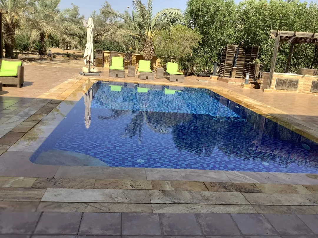 مزرعة في البحر الميت/ الشونه الجنوبية / السويمه / حوض جلد مميزة للبيع للجادين فقط
