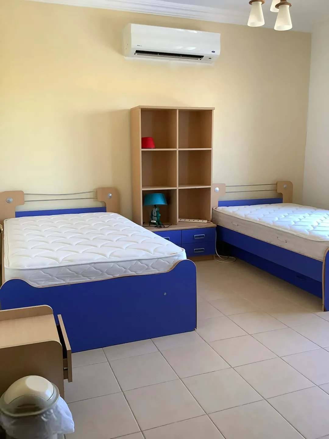 مزرعة في البحر الميت/ الشونه الجنوبية / السويمه / حوض جلد مميزة للبيع للجادين فقط