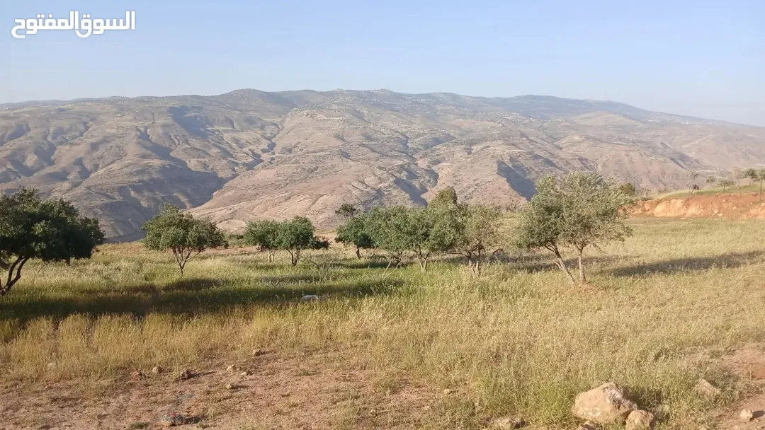 ارض للبيع الصبيحي
