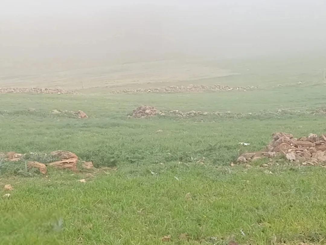 ارض للبيع في المفرق التواصل واتساب
