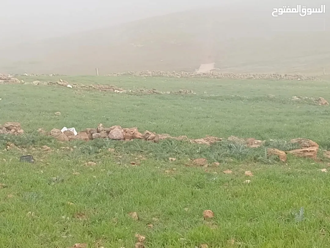 ارض للبيع في المفرق التواصل واتساب