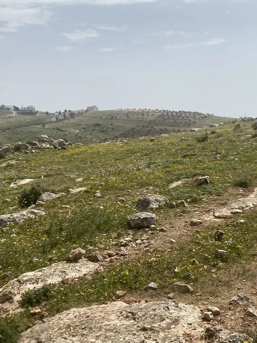 قطع زراعيه للبيع المستعجل أسعارنا مميزه