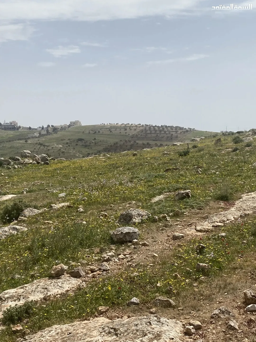 قطع زراعيه للبيع المستعجل أسعارنا مميزه