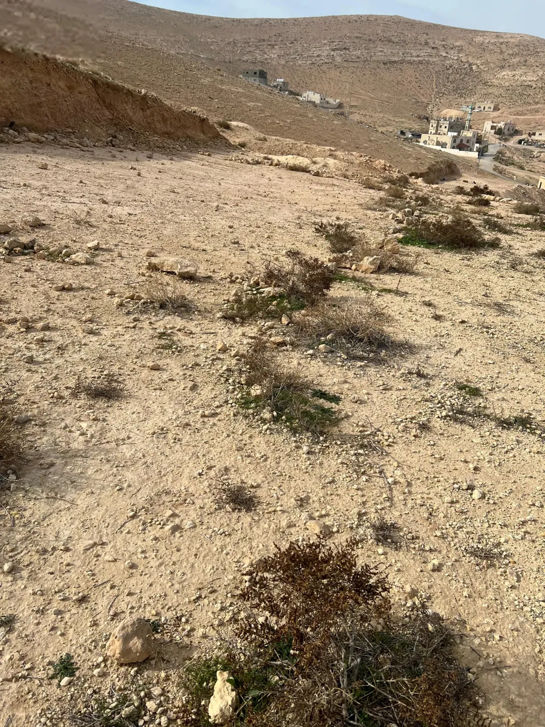 أرض للبيع بداعي السفر و الزواج مساحه الأرض دونم و6 متر قابل للتفاوض