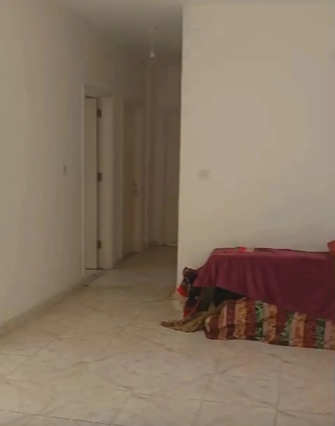 شقة للبيع لم تُسكن من قبل سوبر نظافة على الشارع وبإطلالة مفتوحة للبيع