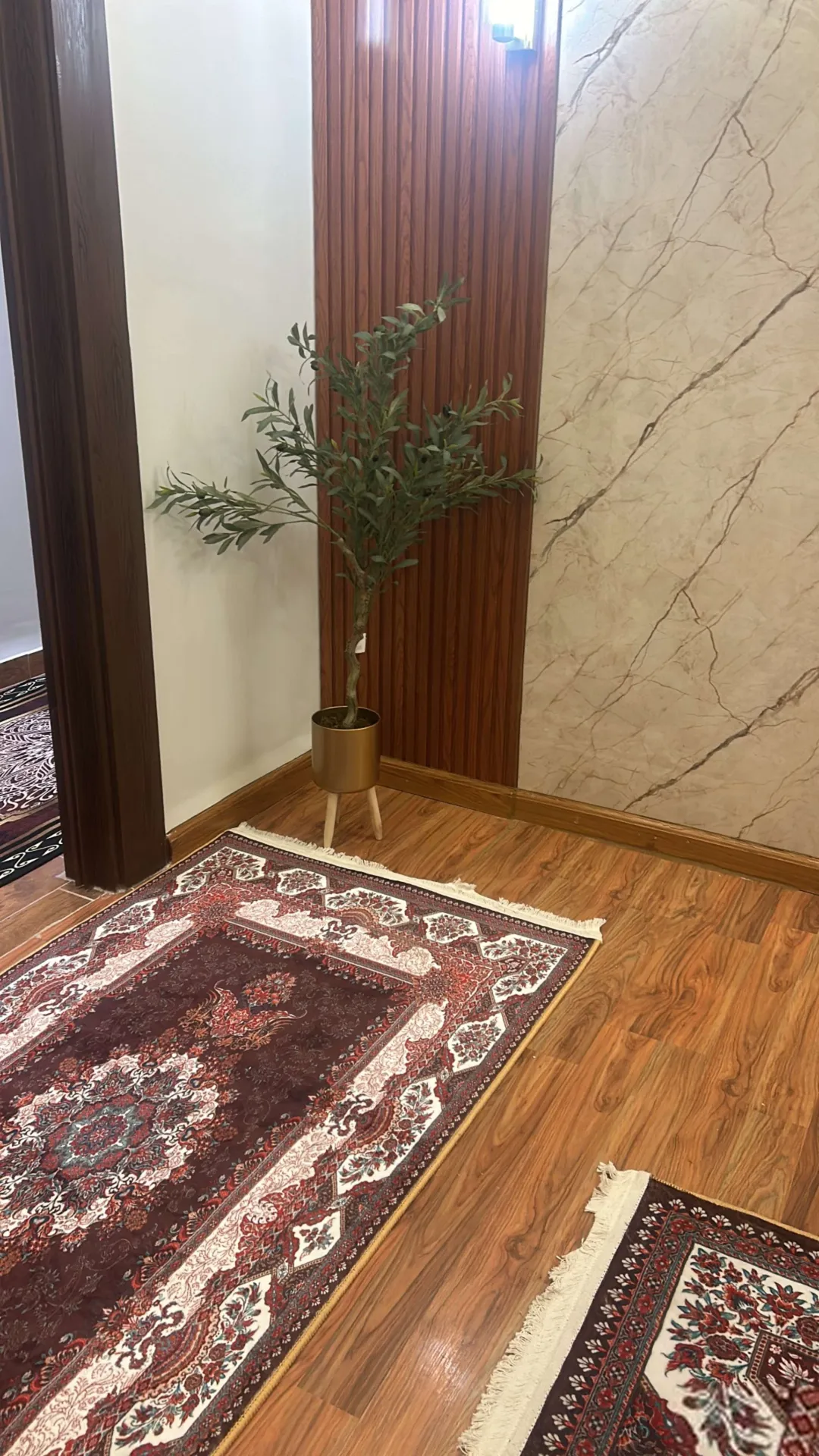 استوديو مفروش يومي في الدوار السابع