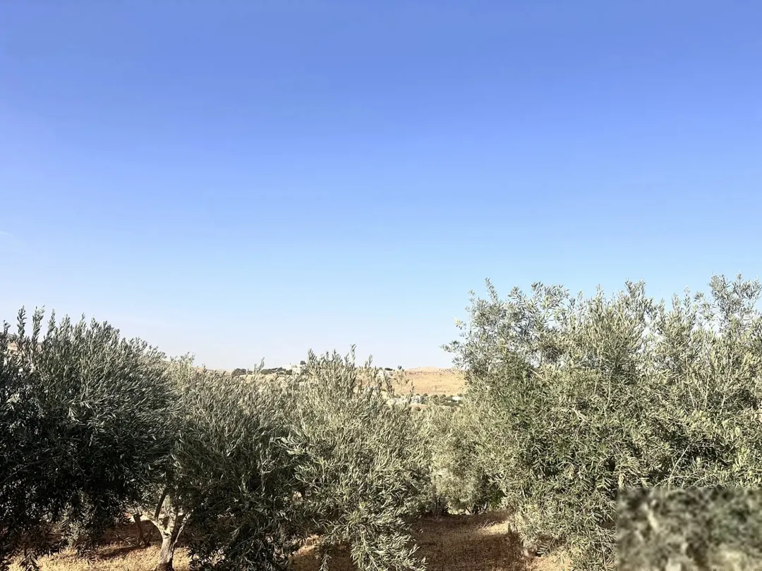 أرض سكنية مميزة في بيرين – حوض القصبات