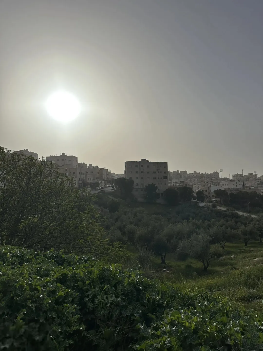 أرض سكنية للبيع في القويسمة – عمان