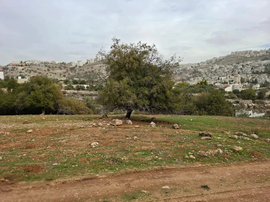 قطعة أرض مميزة في منطقة أبو النعير