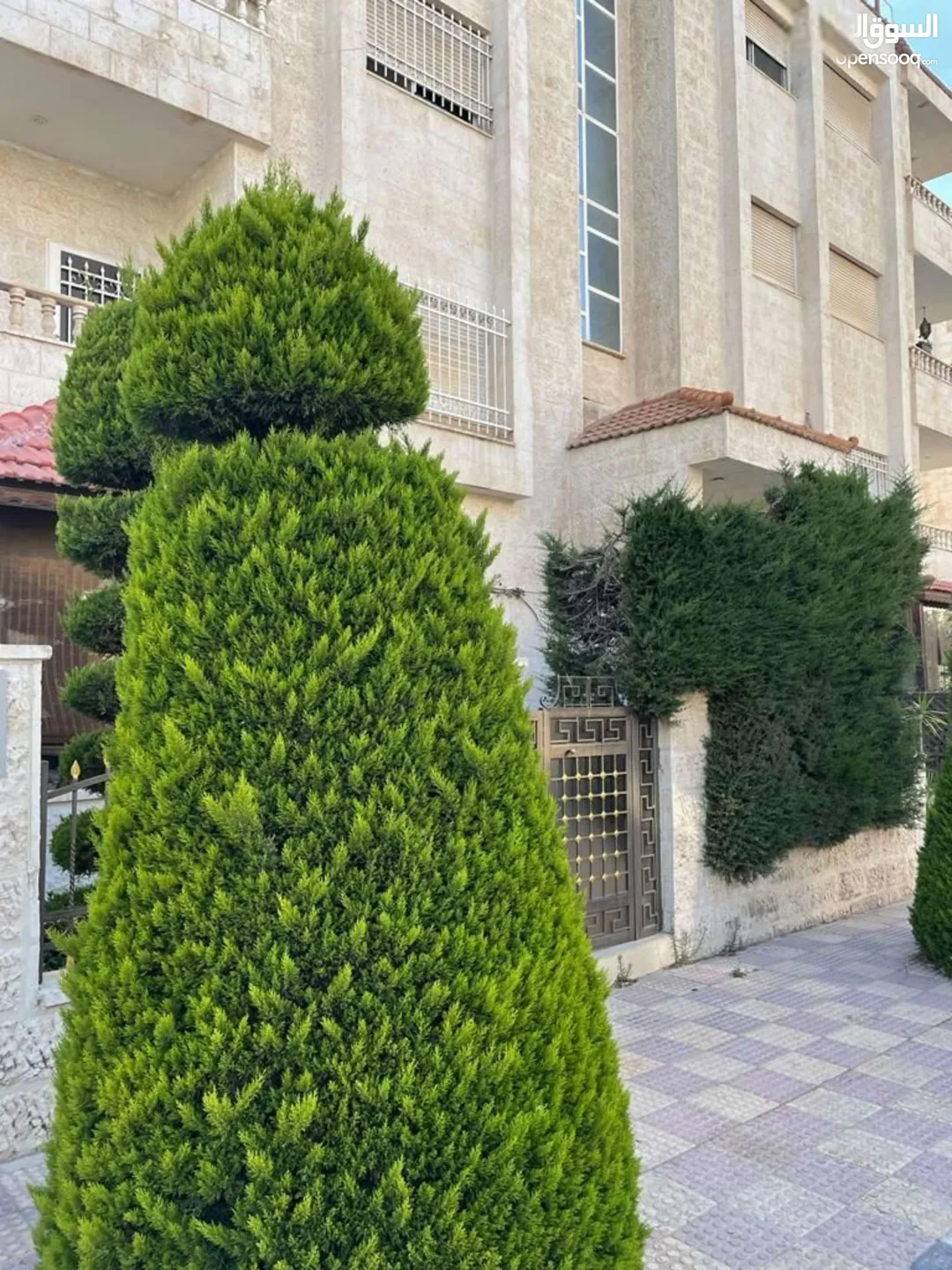 شقق مفروشة يومي في الدوار السابع