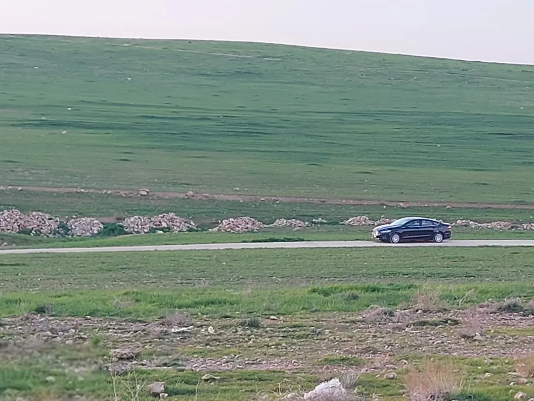 أرض زراعية مميزة للبيع في إربد – منطقة تميرة