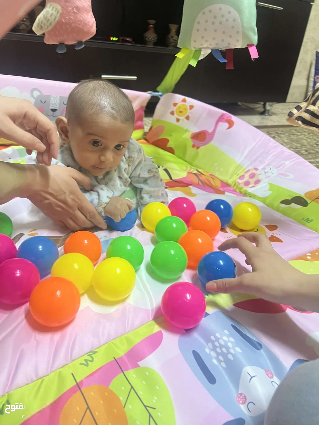 استوديو مفروش يومي في الدوار السابع